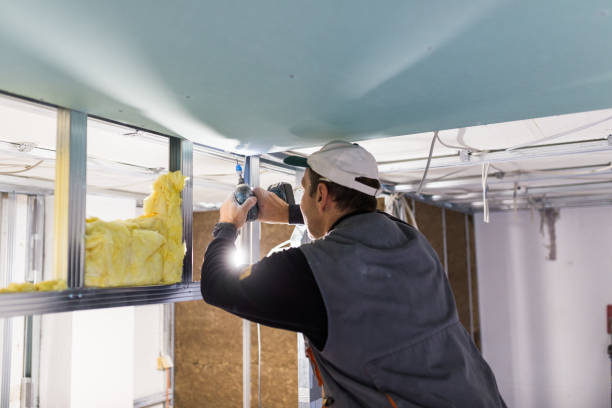 Best Insulation Maintenance and Repair in Mount Pleasant, MI